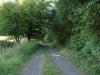 Feldweg